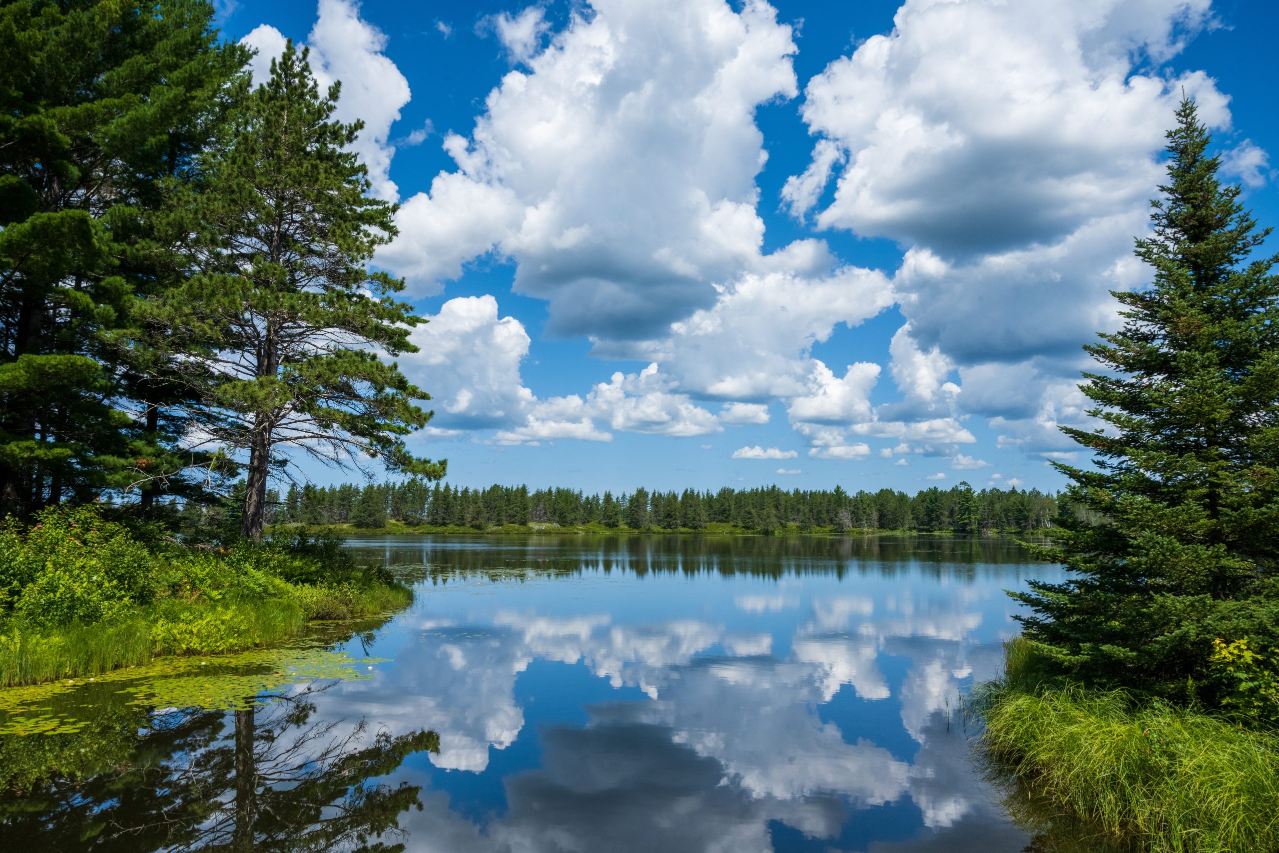 A view from Seney National Wildlife Refuge in Michigan’s Upper Peninsula